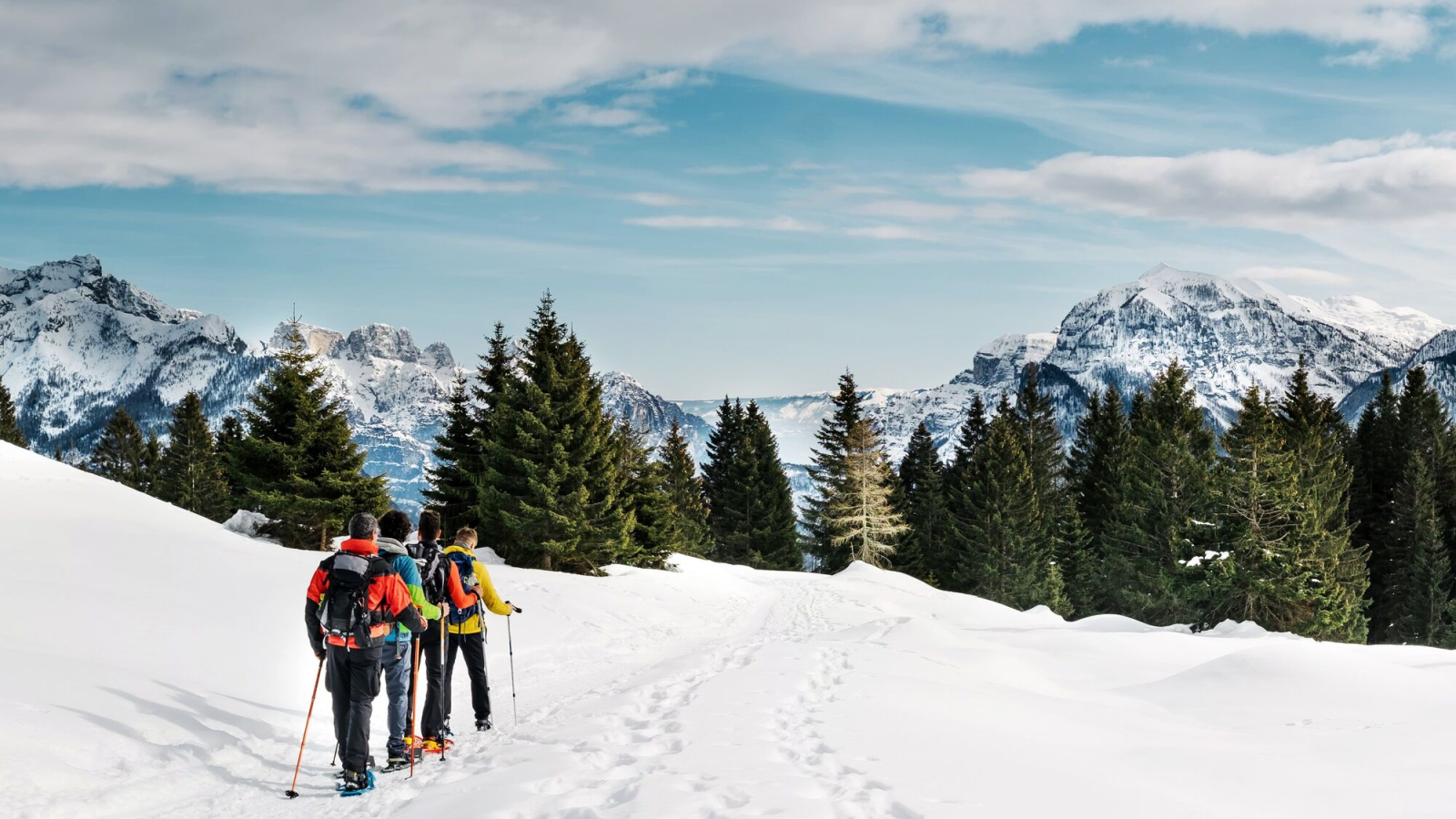 Photo of Chamrousse snowshoe outing