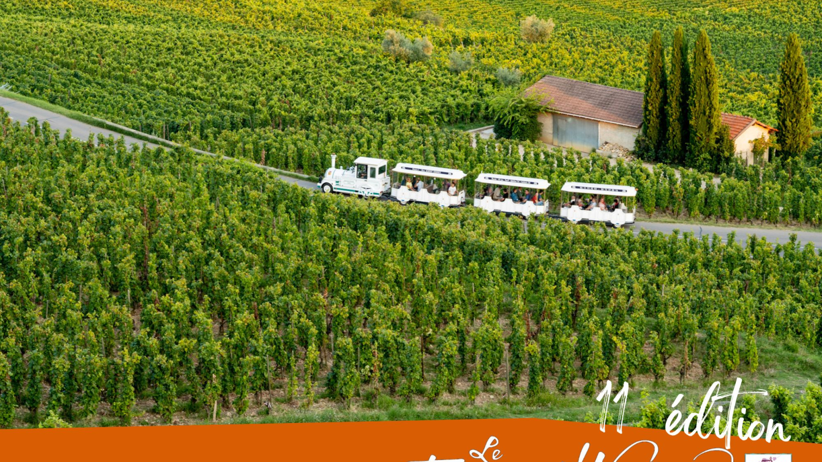 train dans les vignes