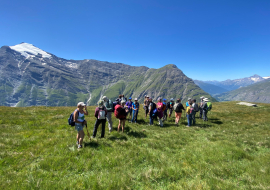 Group of hikers in summer