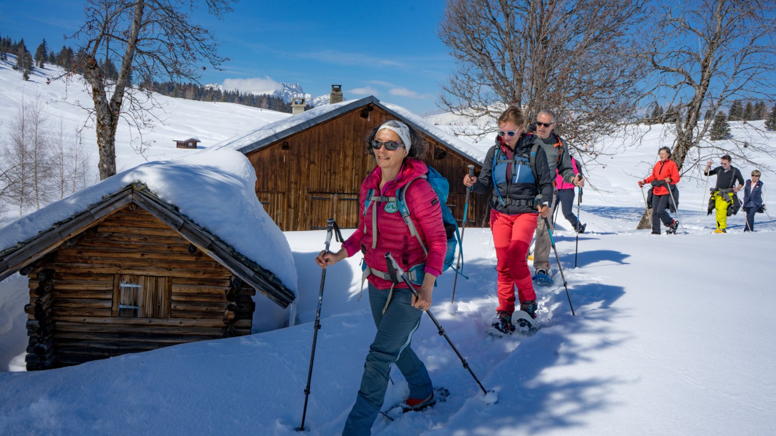 Balade en raquettes au pied du Mont Bisanne