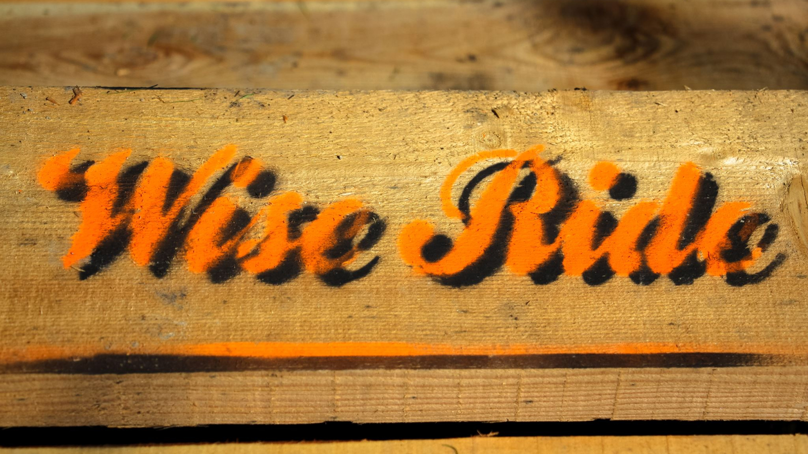 Entreprise Wise ride