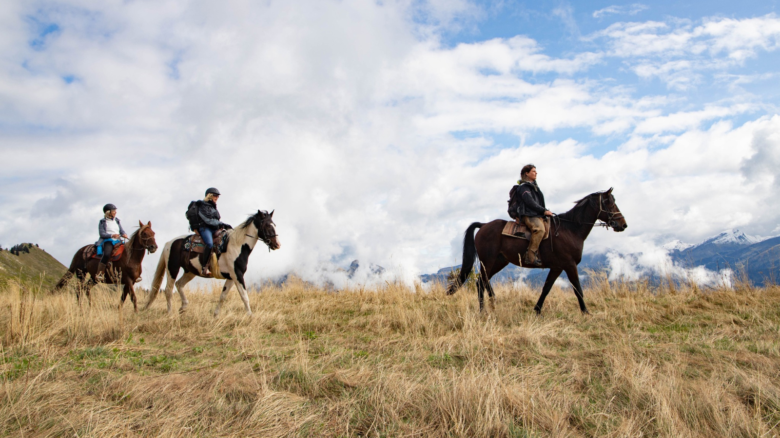 walks and horse rides