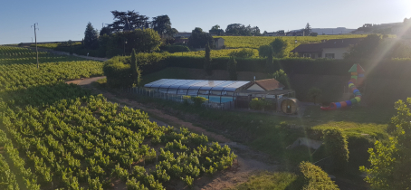 un camping au coeur des vignes