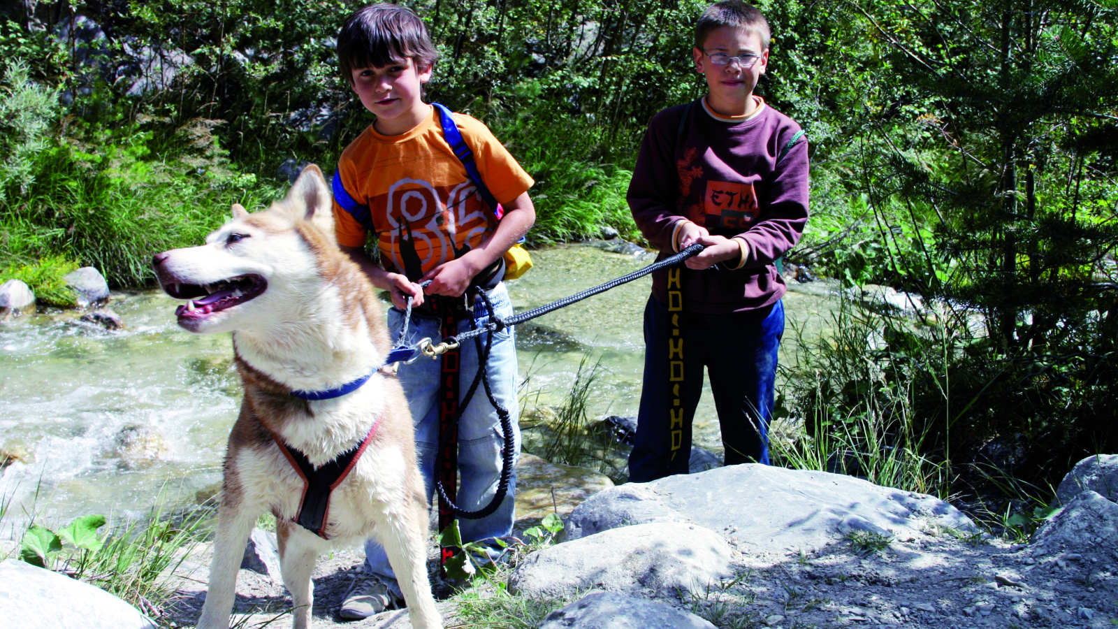 Enfants en cani-rando