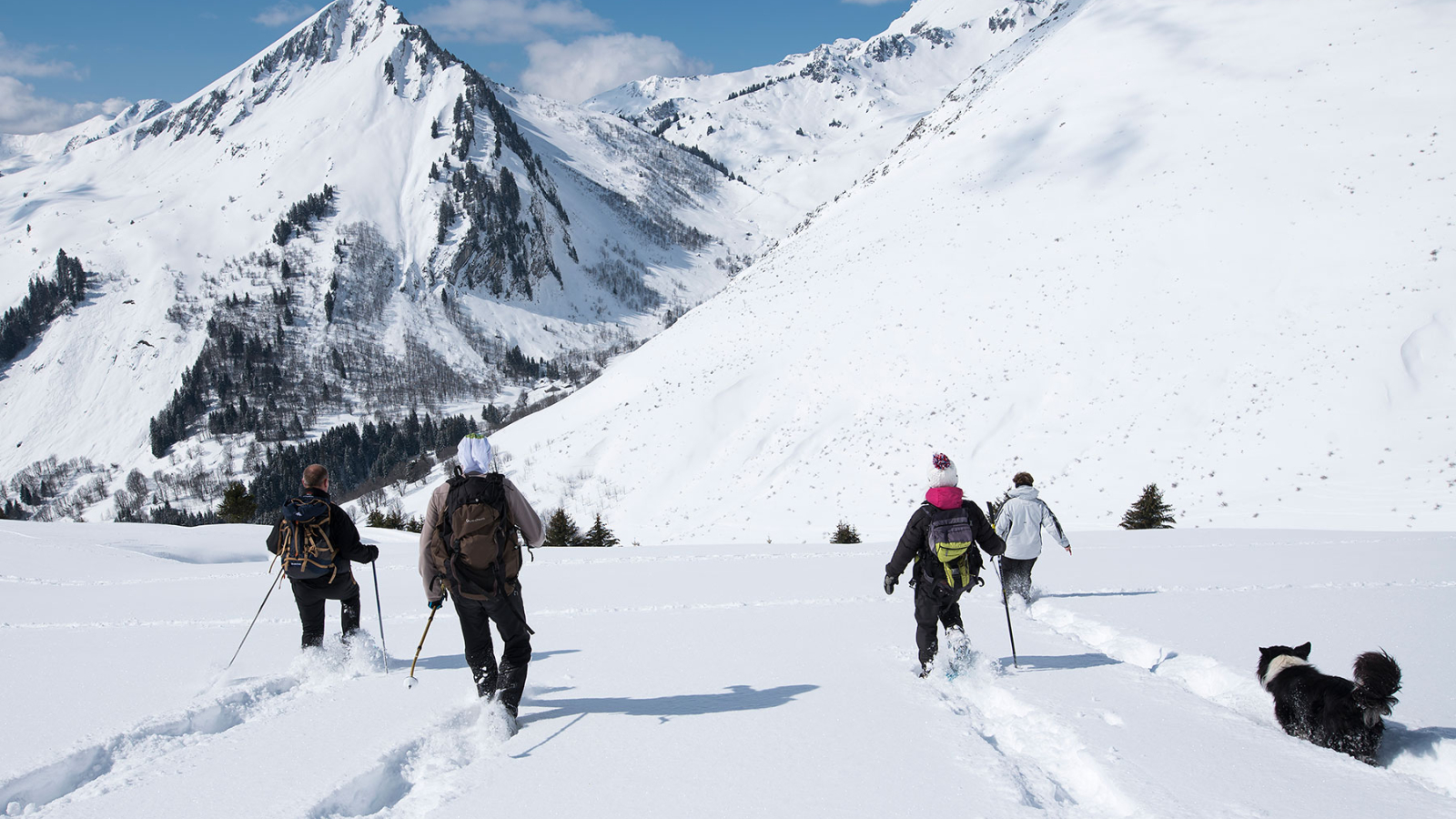 Descente en raquettes au Char des Quais