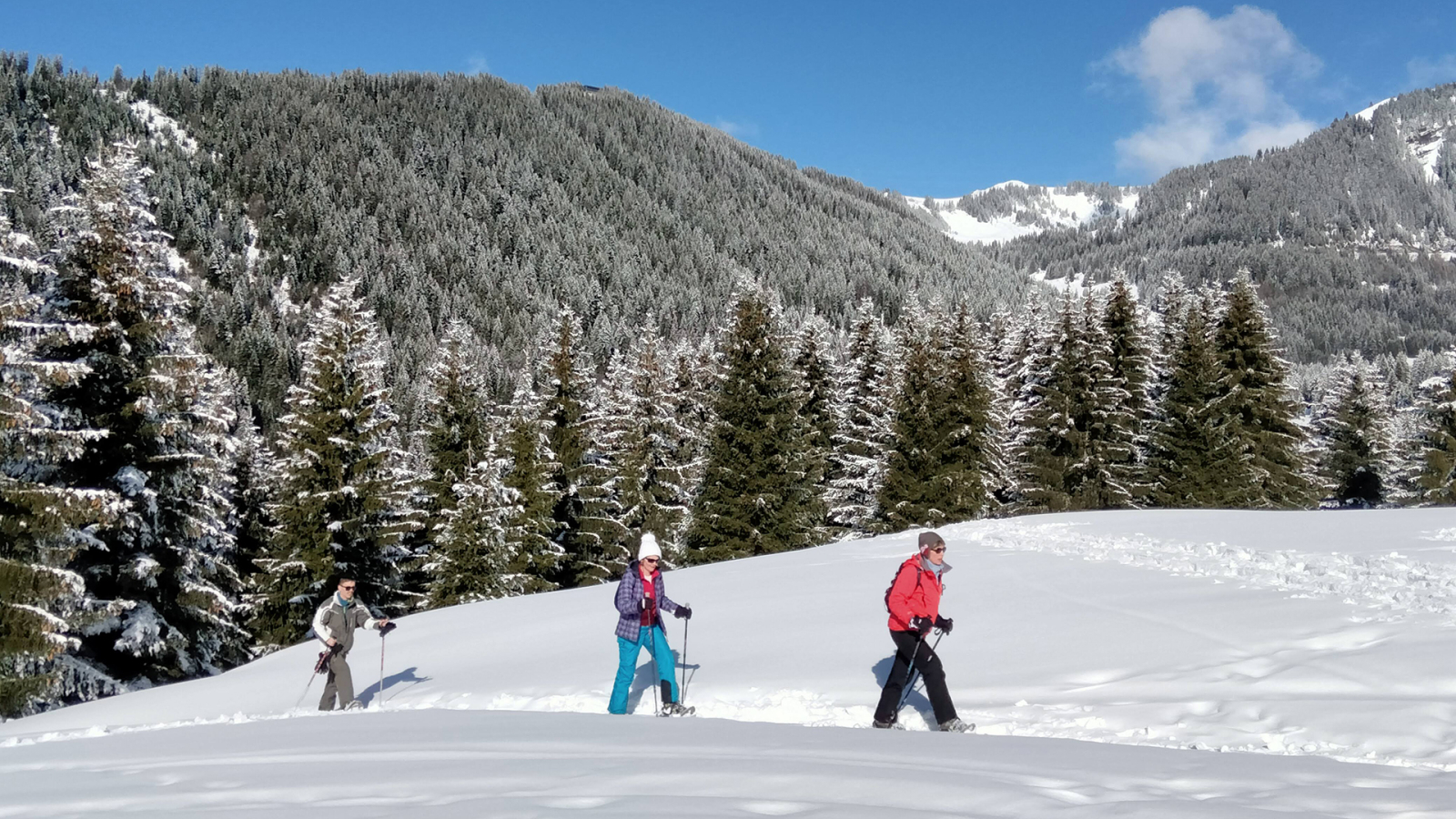 Snowshoe walks in the sunshine