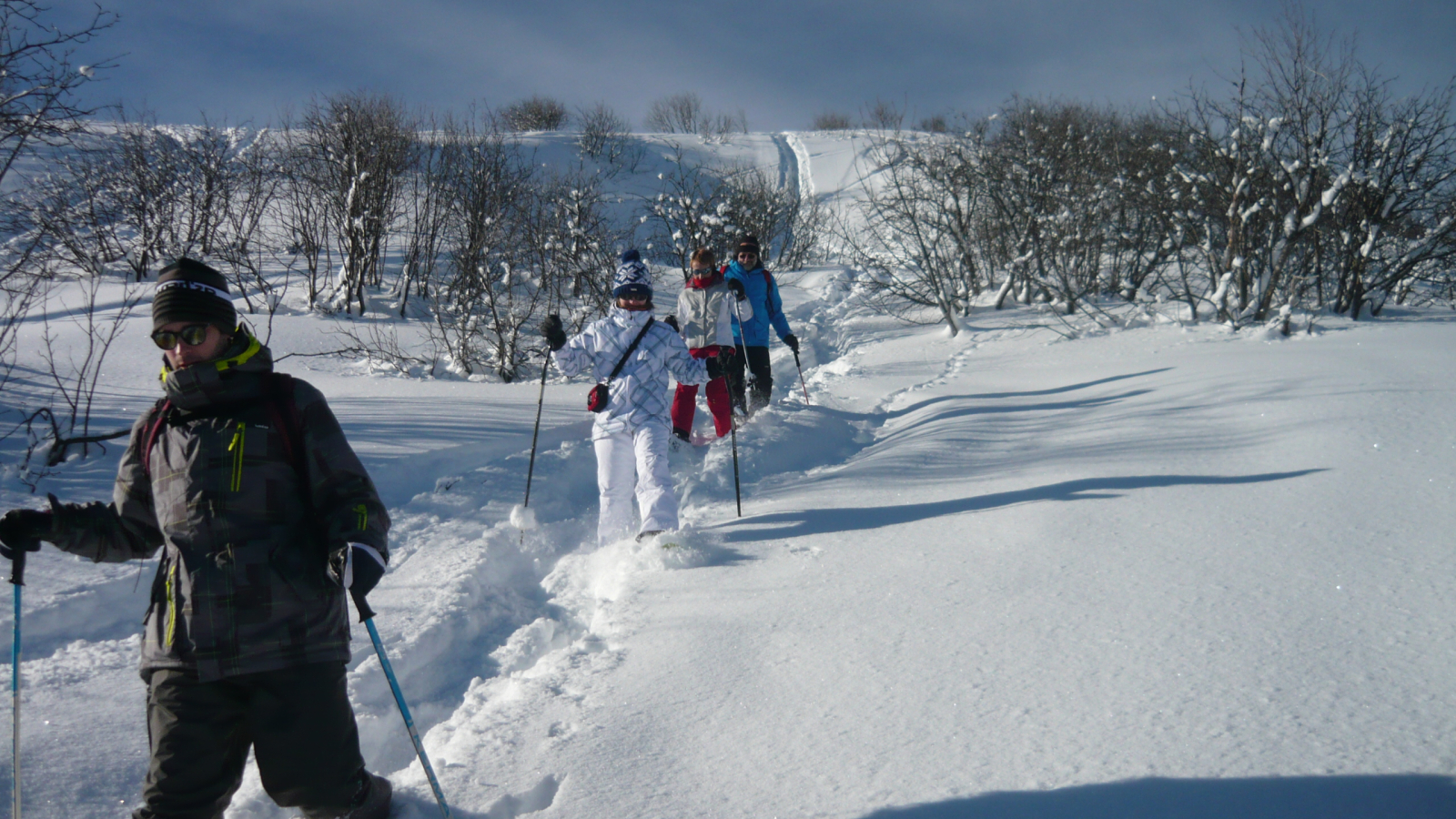 Descente ludique à travers bois