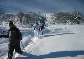 Descente ludique à travers bois