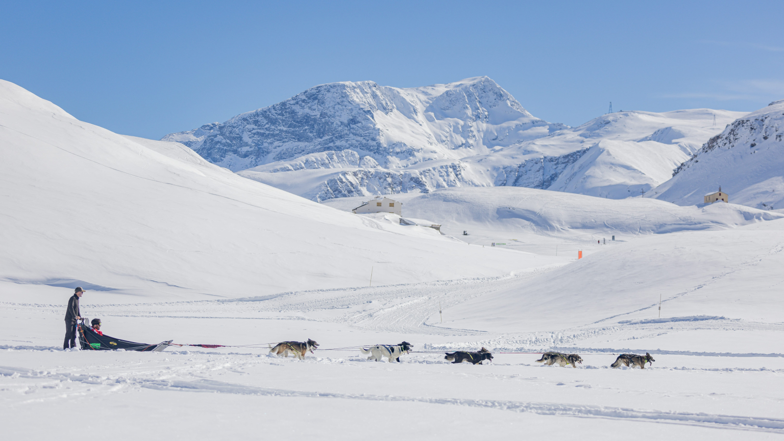 Base polaire des Chiens du Mont Cenis à Val Cenis-Lanslebourg