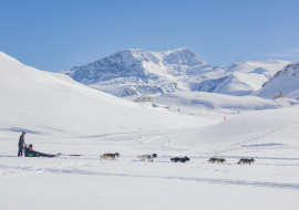 Polar base of the Dogs of Mont Cenis in Val Cenis-Lanslebourg