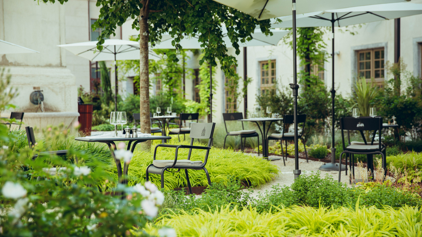 La terrasse