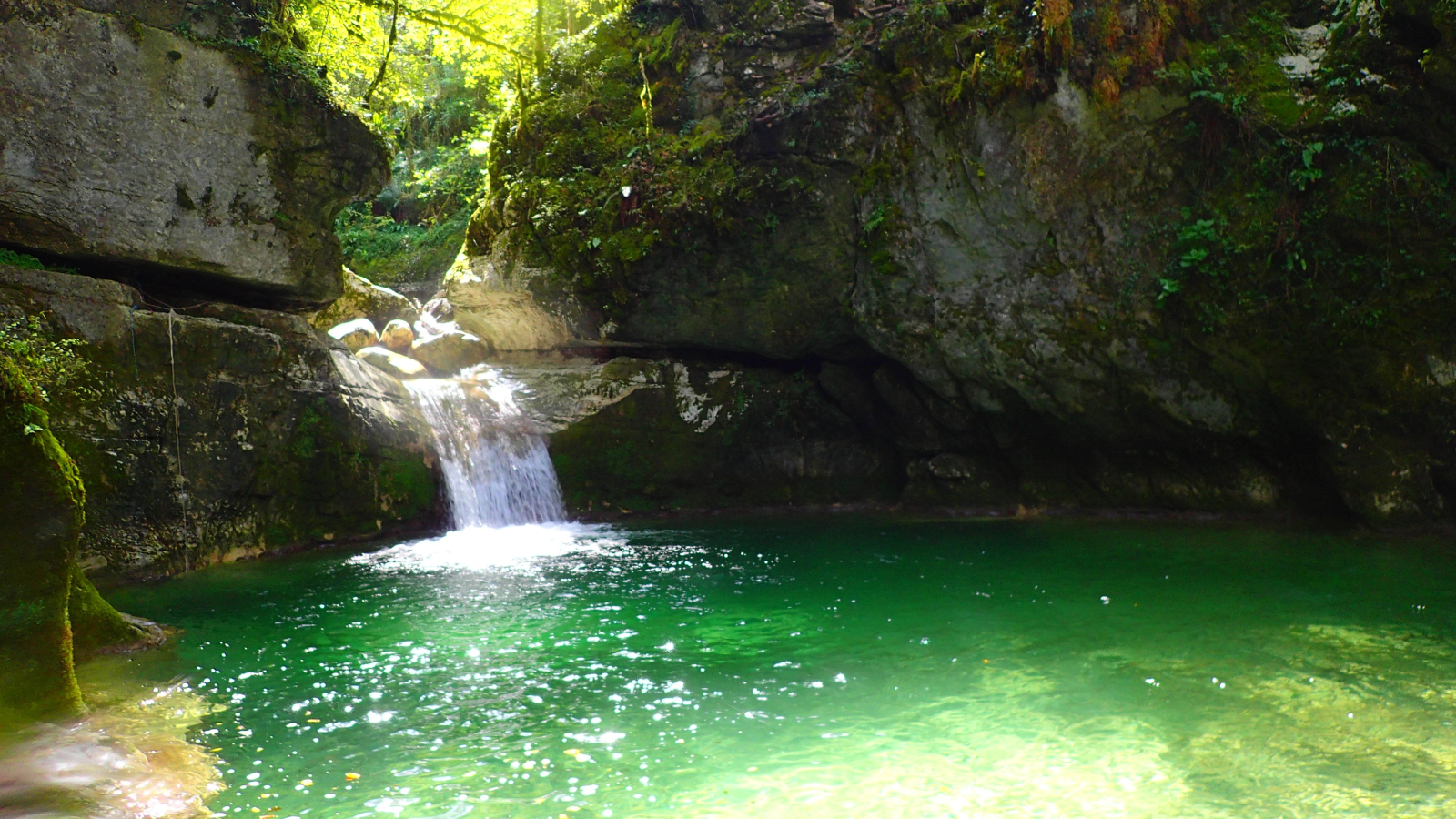 Piscine naturelle au Ecouges II