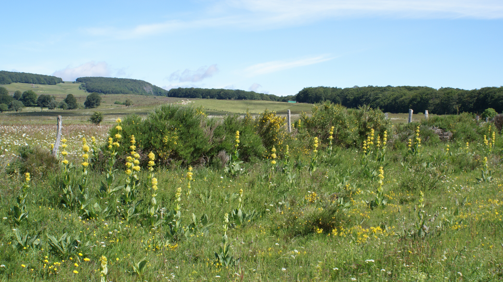 Plateau de Vigouroux