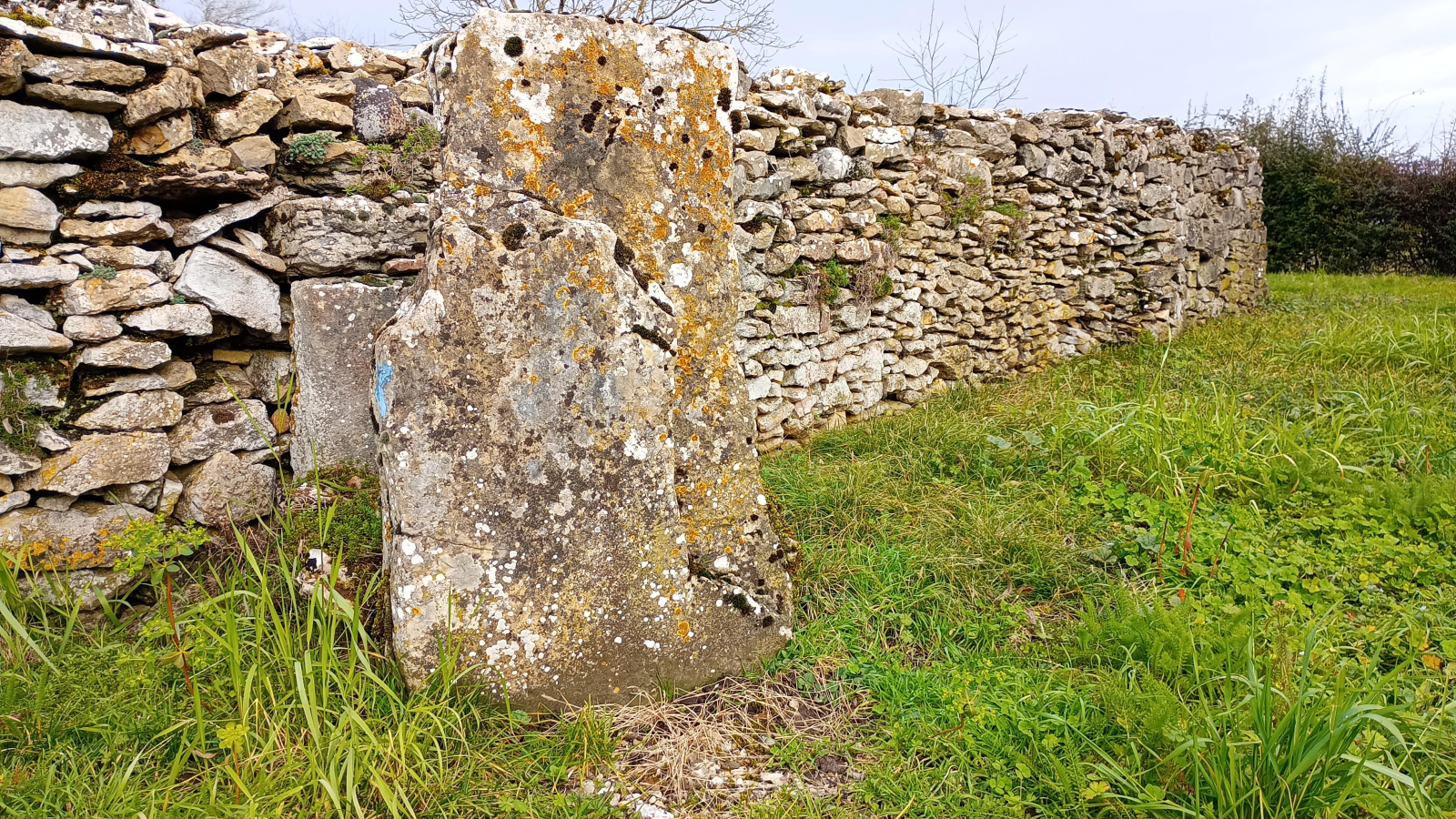 Vue sur un mur en pierres sèches à Parmilieu - Balcons du Dauphiné