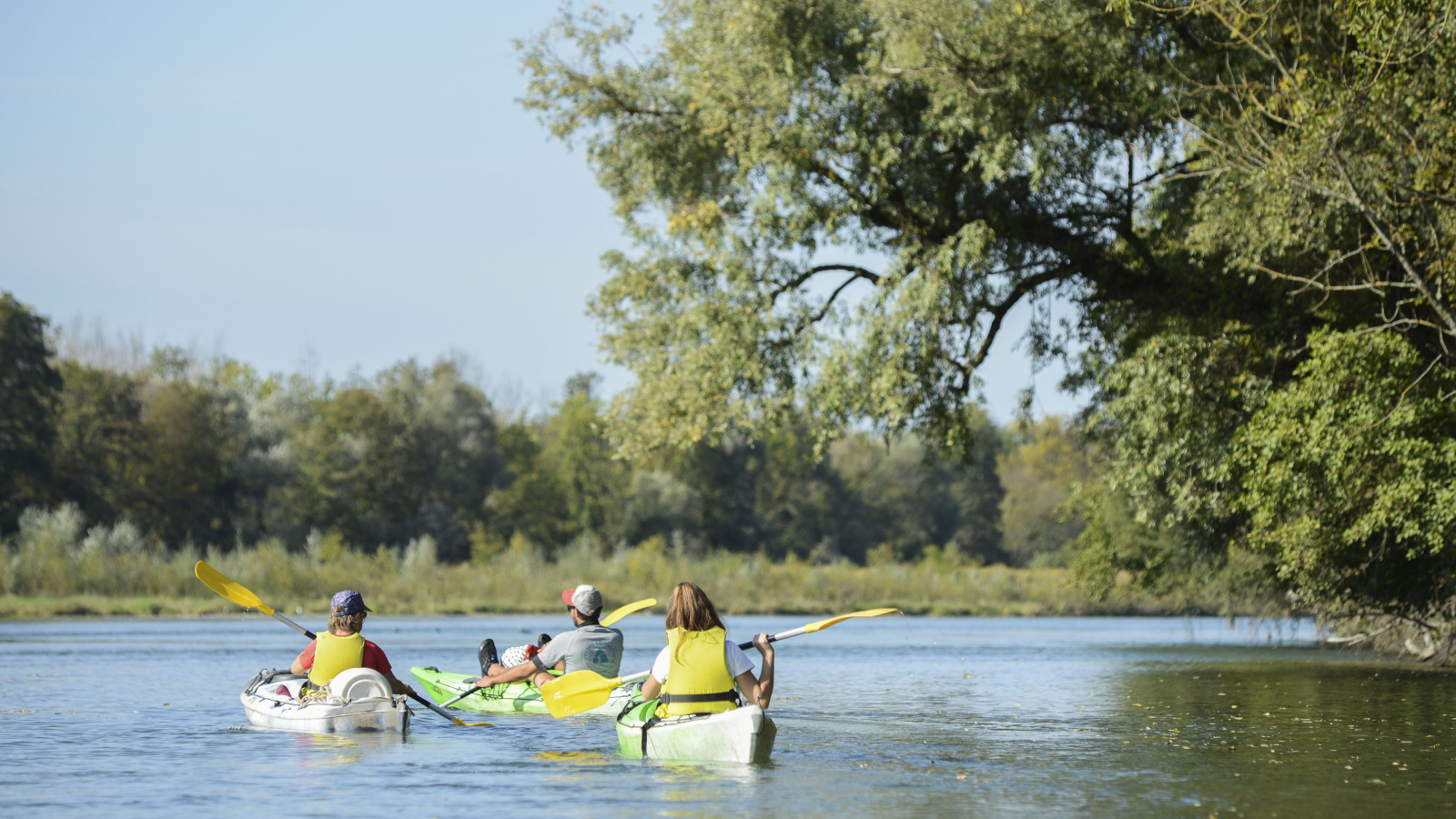 Kayak sur le Rhône sauvage