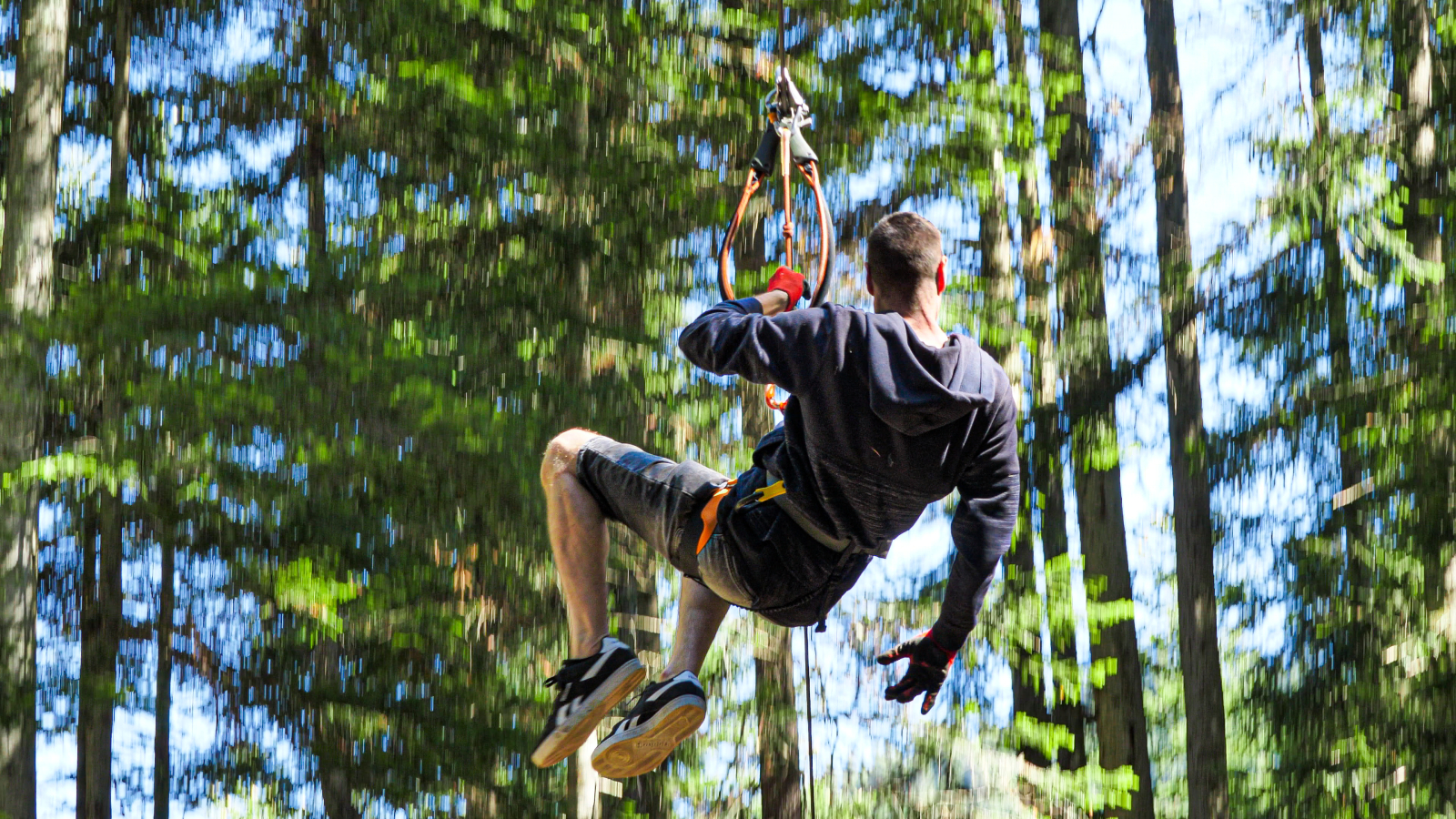 Bearded vulture jump