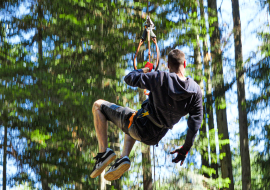 Bearded vulture jump