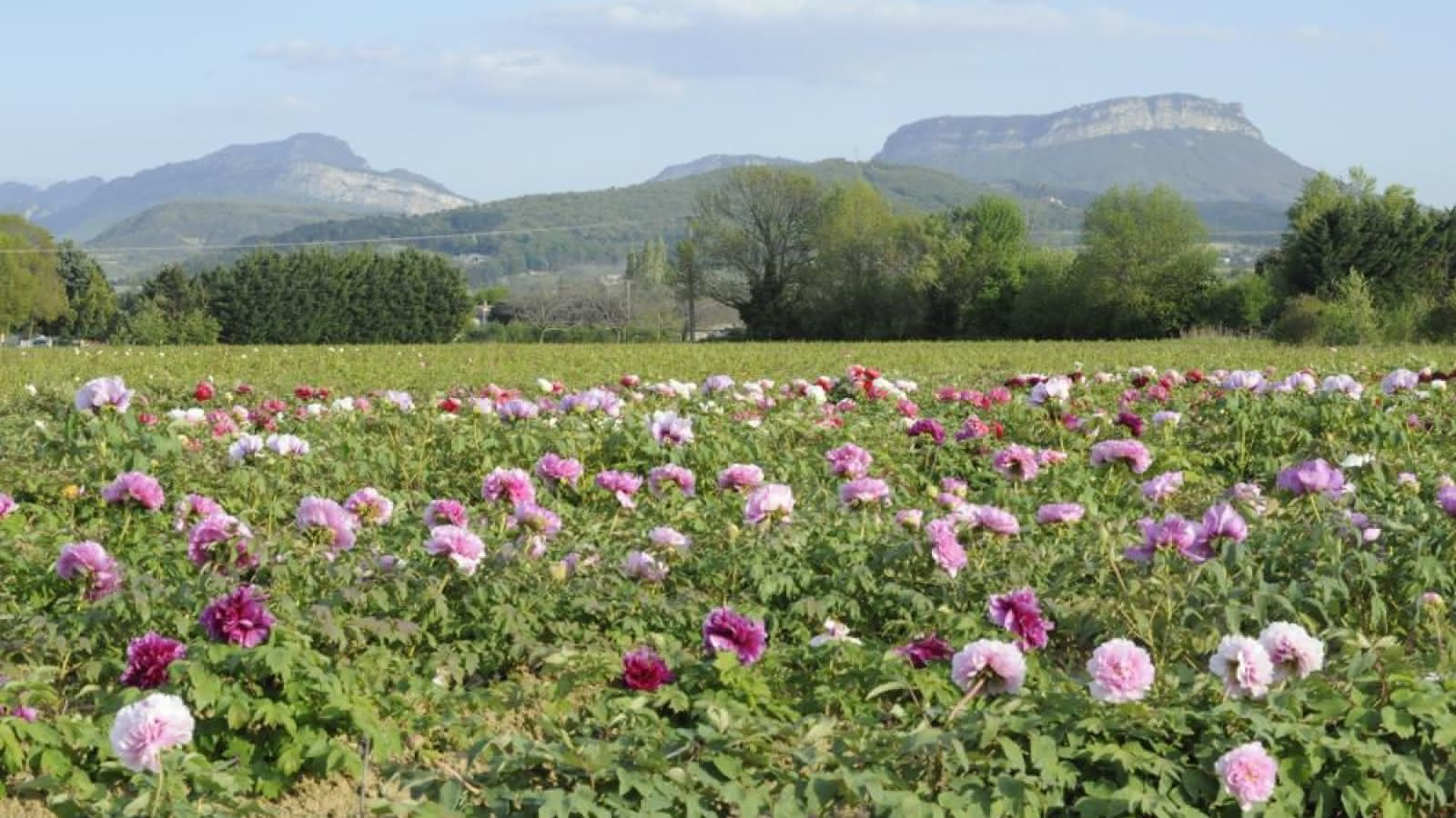 Family cycling itinerary in the Drôme