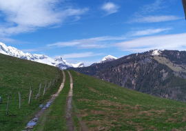 Randonnée Sportive