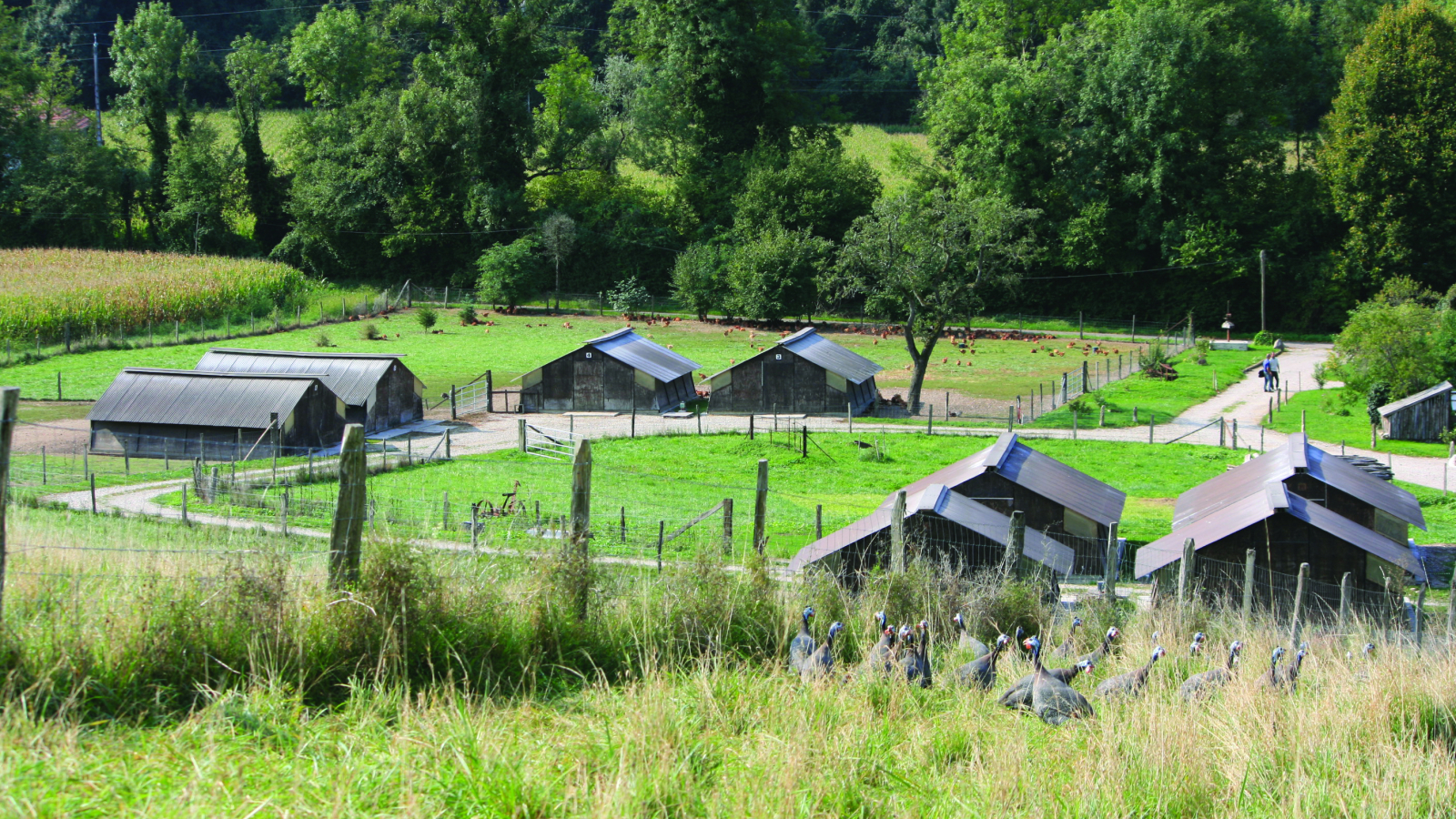 Ferme des noirettes