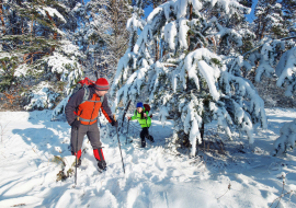 Balade en raquettes sous les sapins enneigés