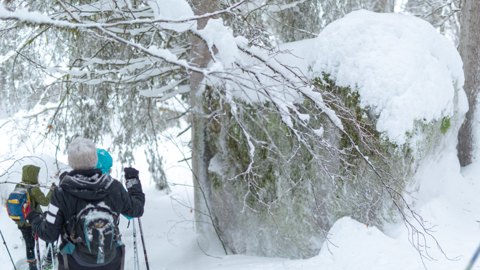 Magical Snow Treks