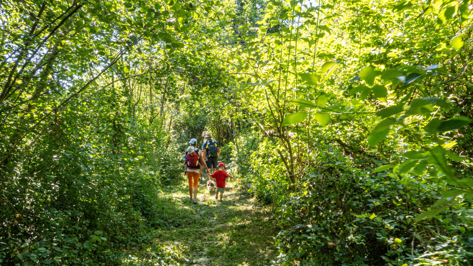 Balade sur le sentier Envirhôna - Balcons du Dauphiné - Isère