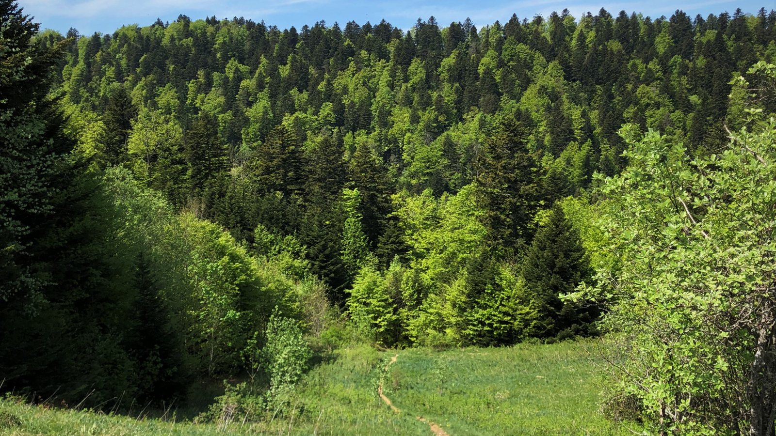 Col de Charbemènes