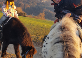Balade poney