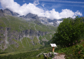 Sentier lecture paysage