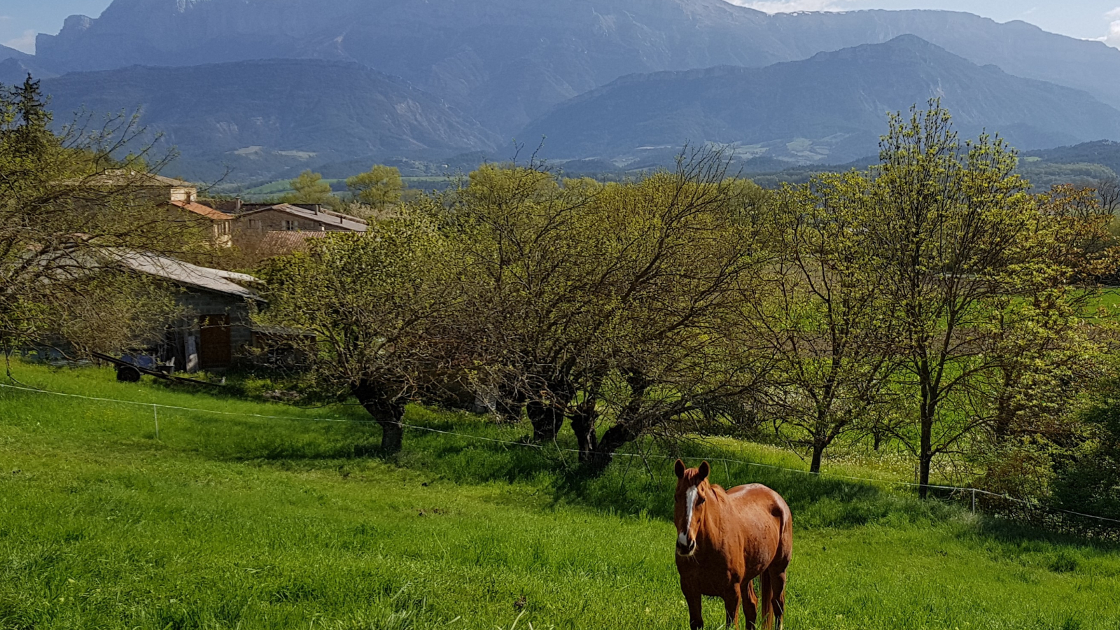 Vue du gîte