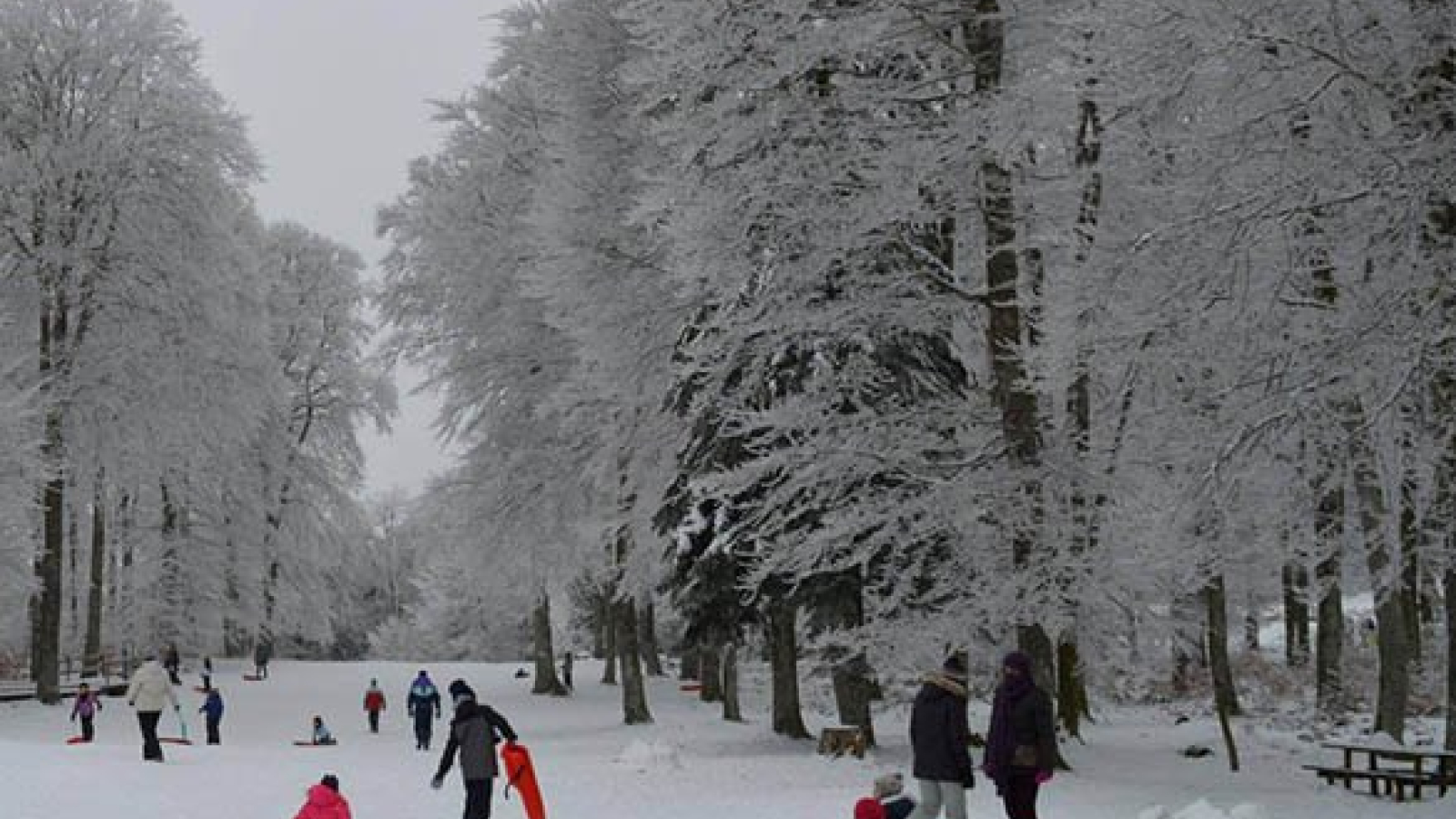 Piste de luge LDG