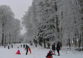 Piste de luge LDG