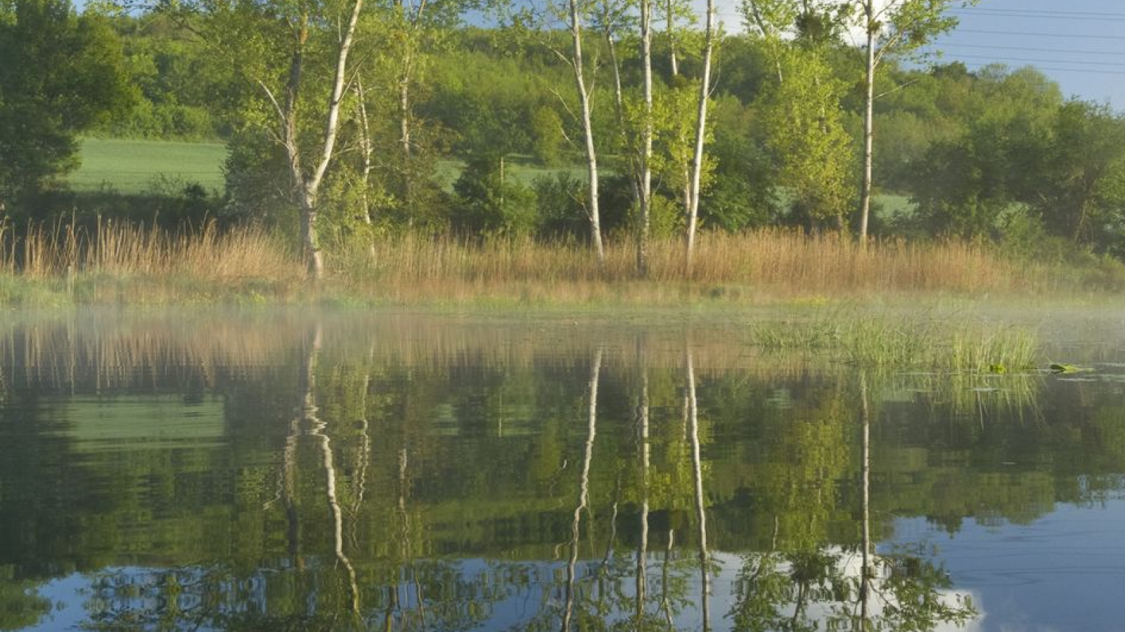 Espace Naturel Sensible Etang de Bas et Falaises de Ravières