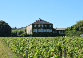 Château des Bachelards à Fleurie