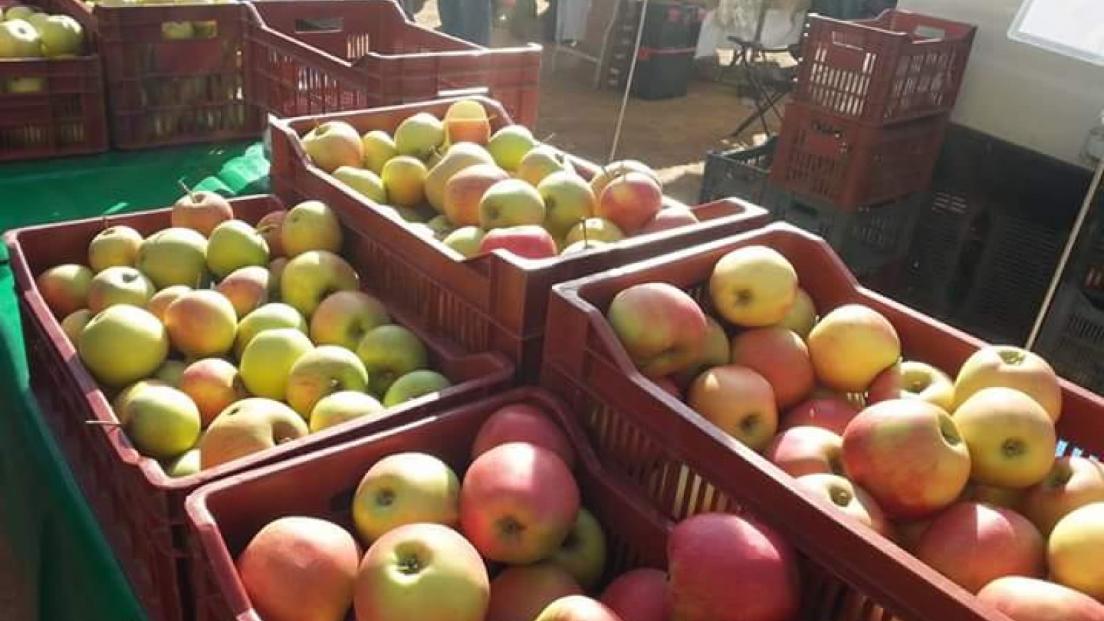 Journées des Fruit d'automne