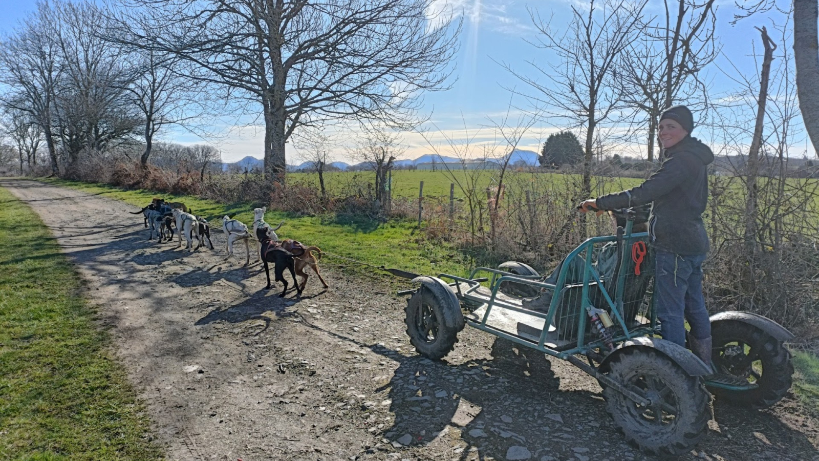 Balade en traîneau à roues