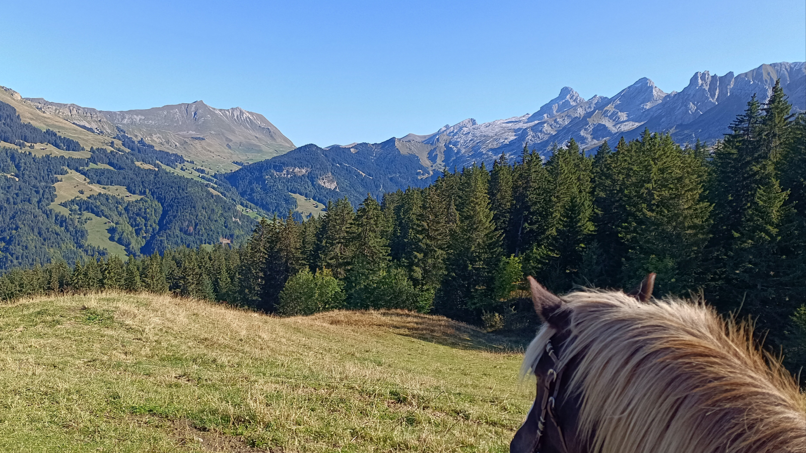 Balade à poney au Grand-Bornand