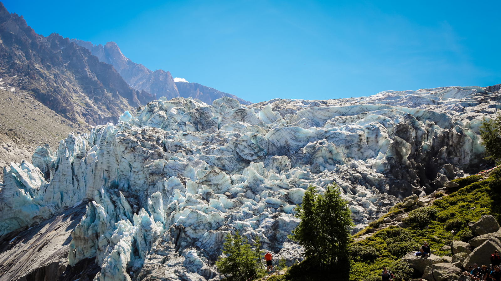 Glacier d'Argentière