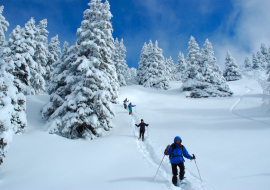 Descente dans la neige en raquettes