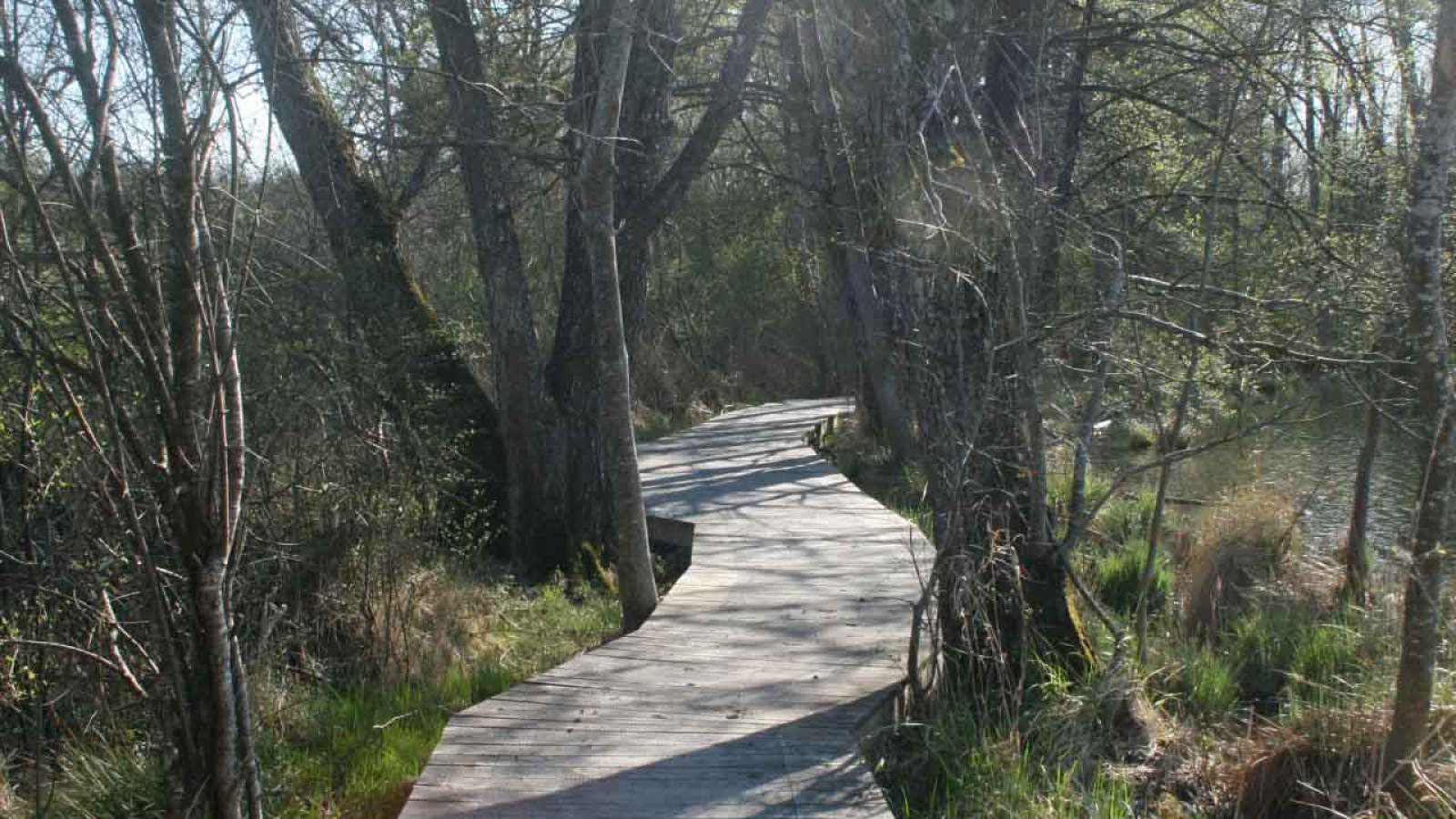 Sentier sur pilotis