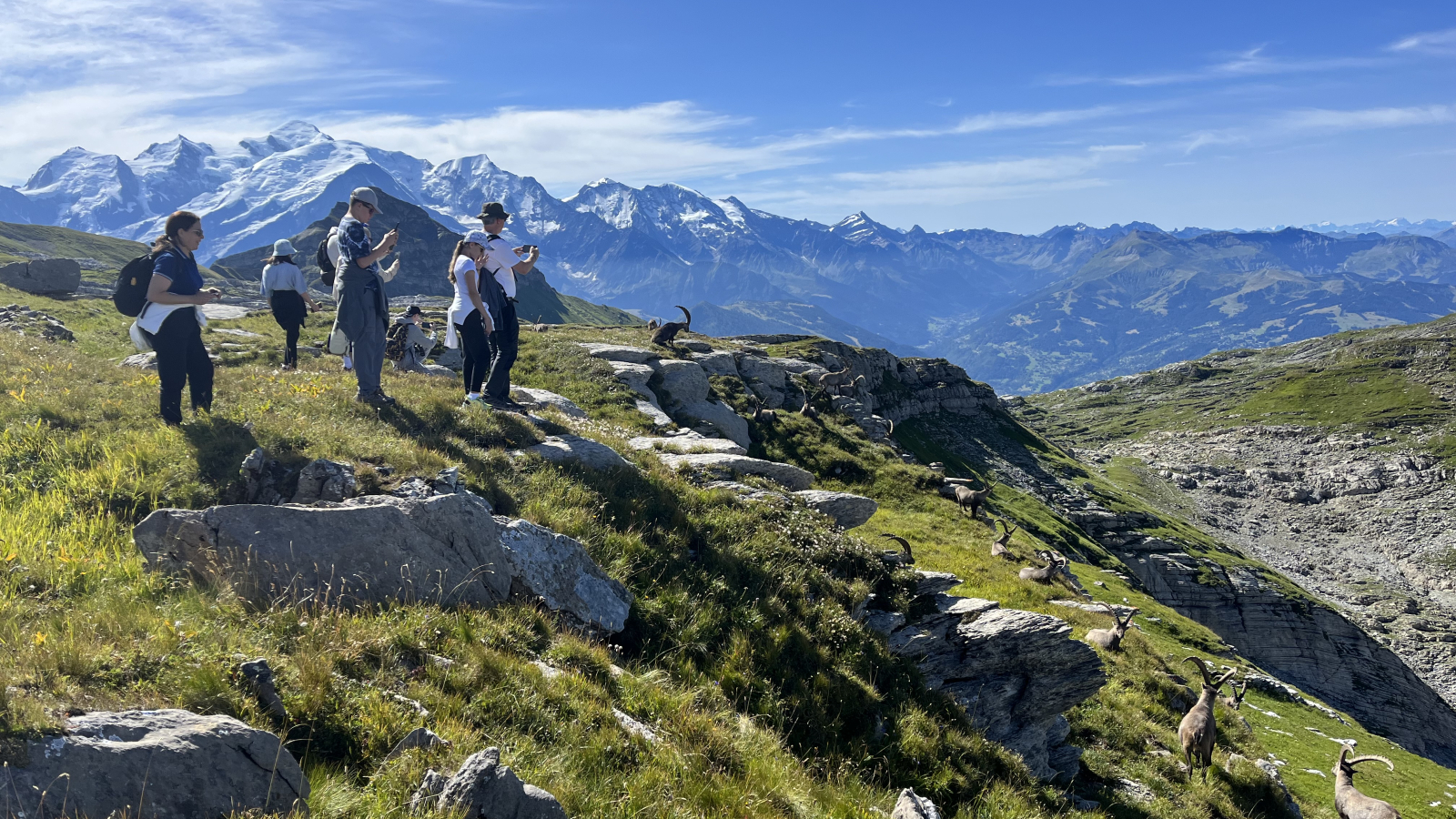 Sortie accompagnée en randonnée