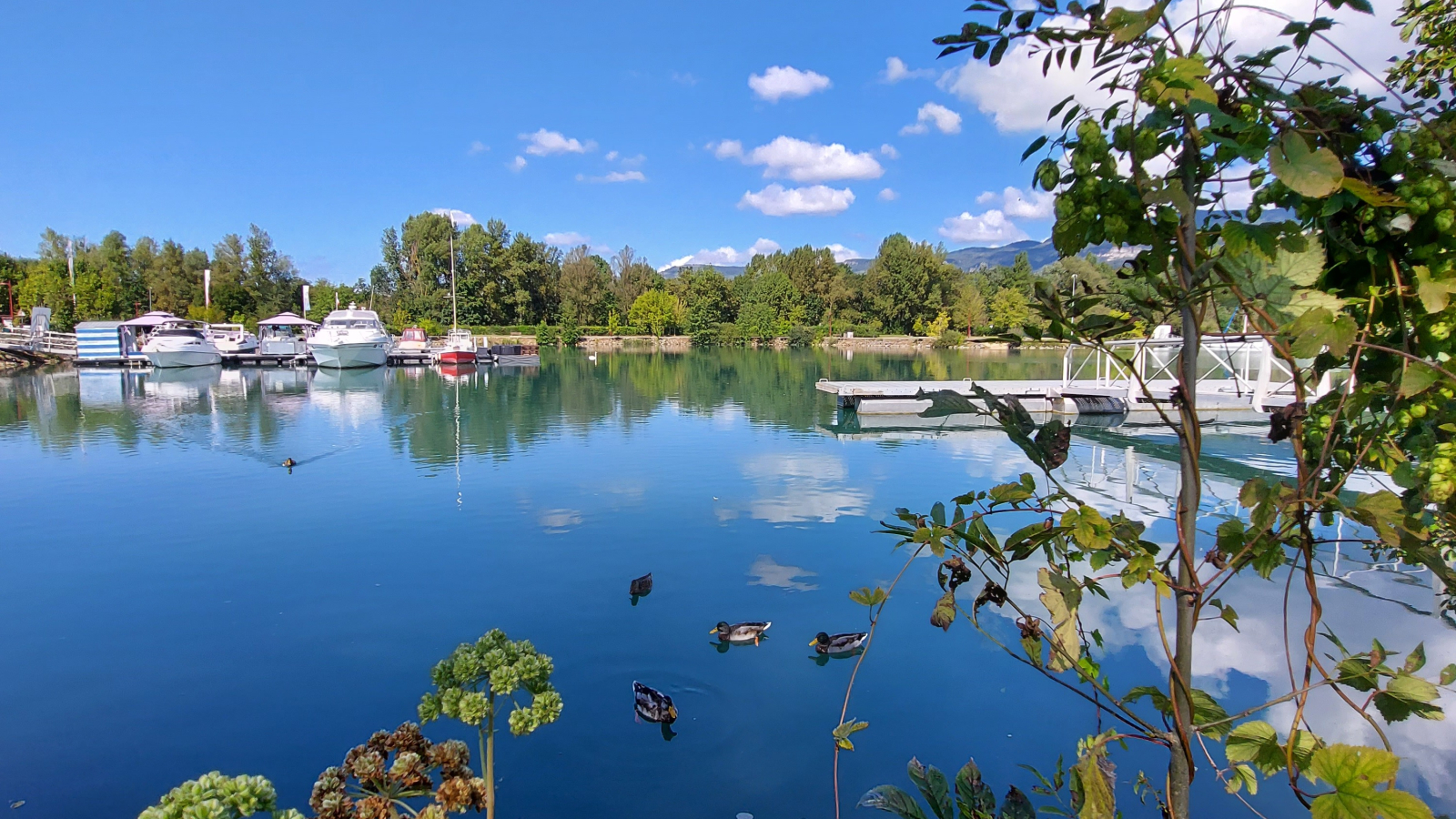 Port de la Vallée Bleue à Montalieu-Vercieu