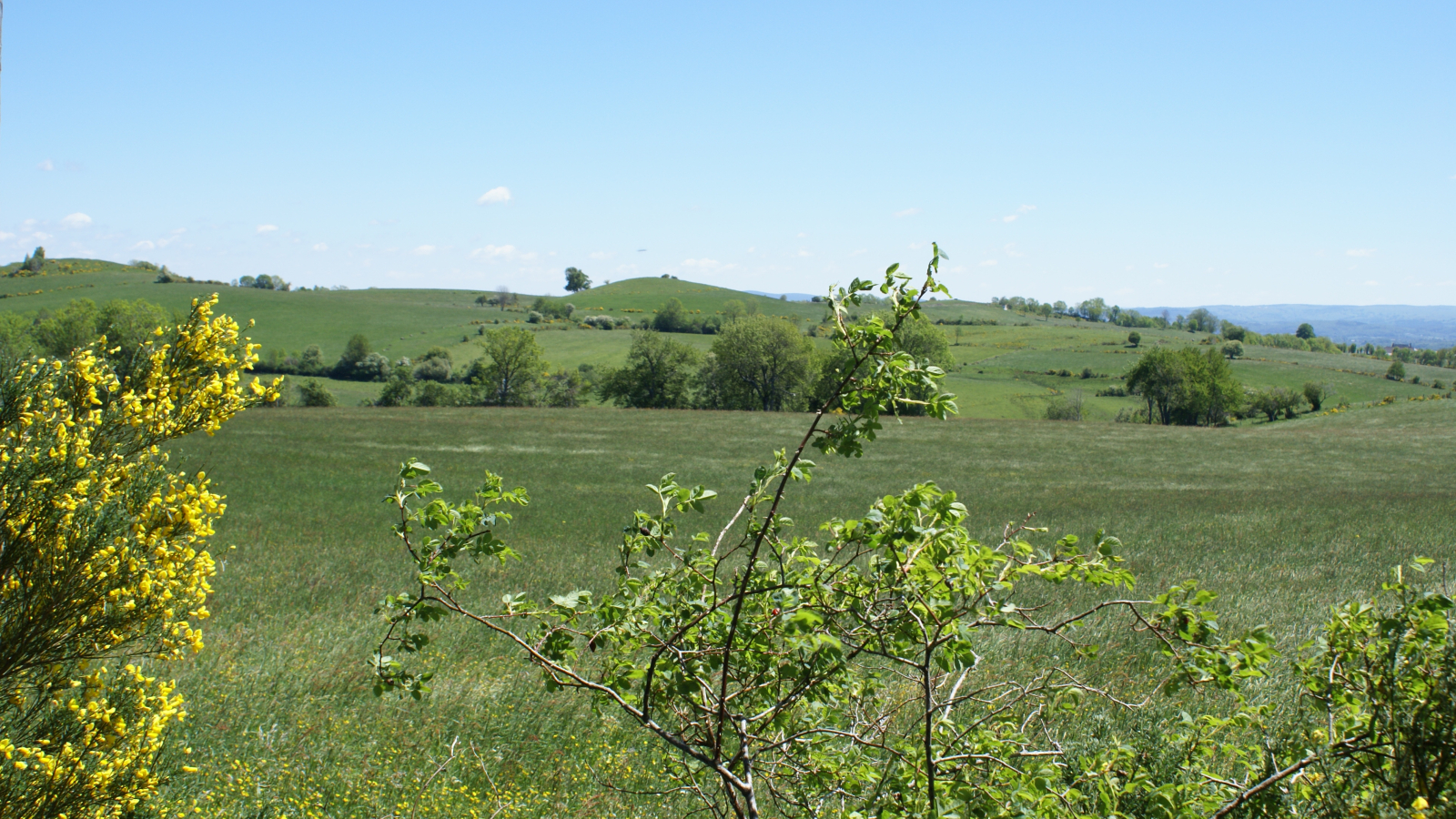 Sur le Plateau de Lebréjal