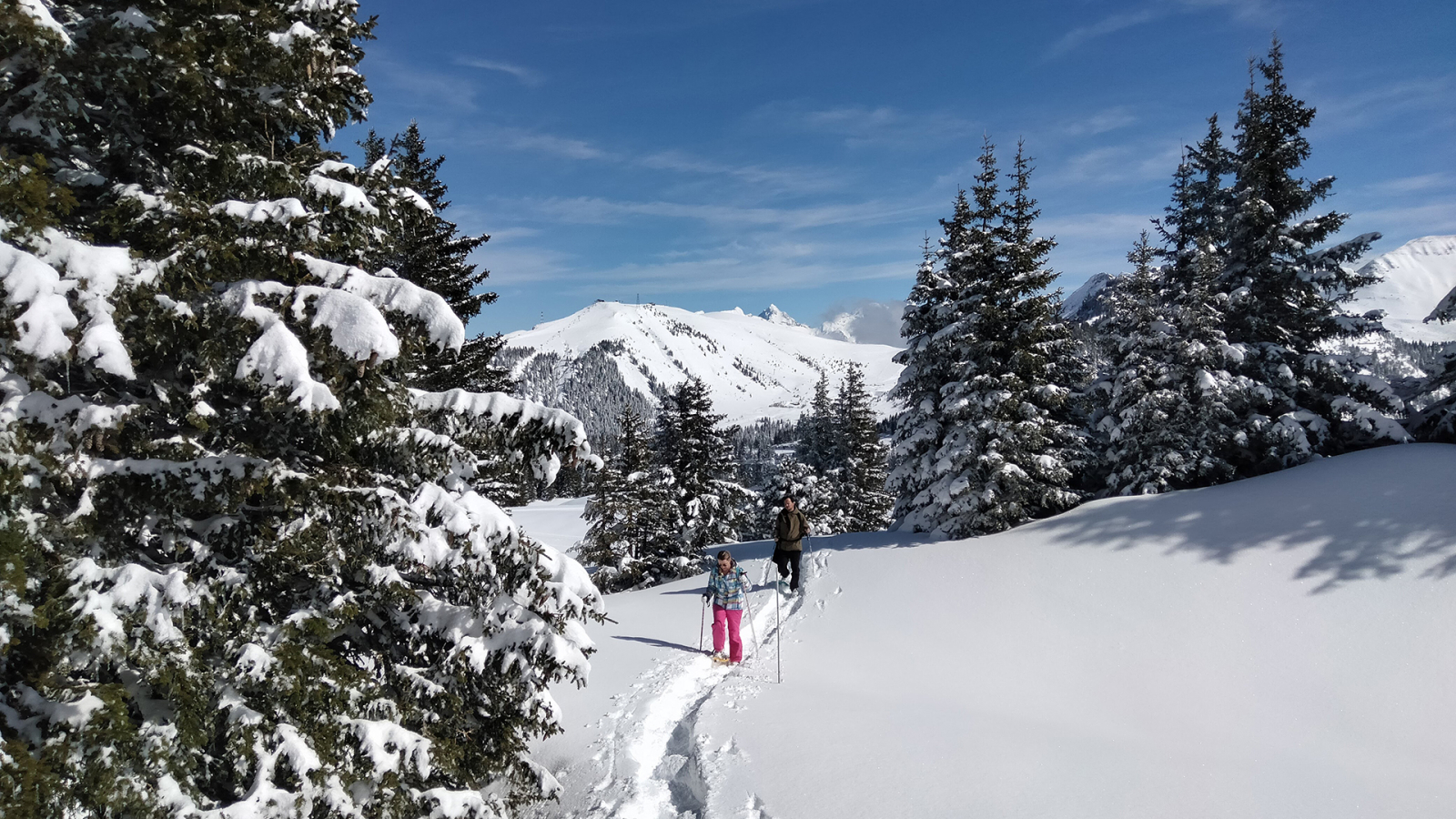 Snowshoeing in powder snow