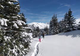 Snowshoeing in powder snow