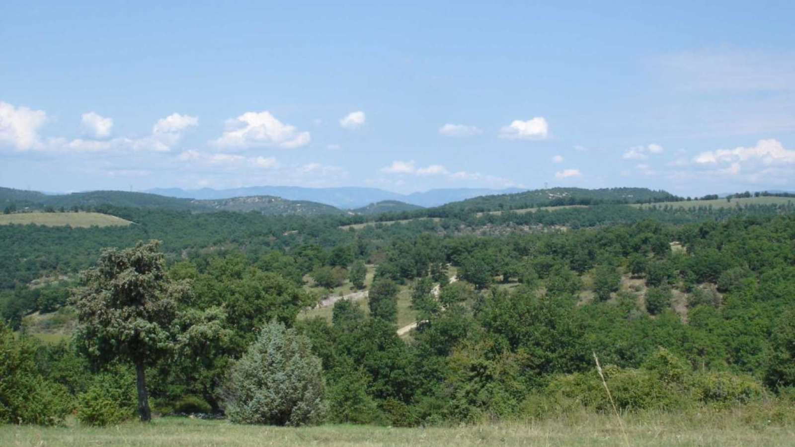 L'environnement du Relais de Vazeille