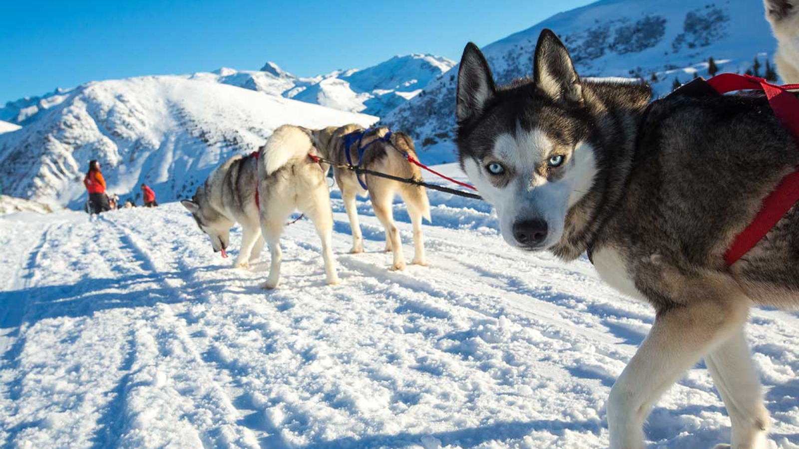 Alpe d'Huez