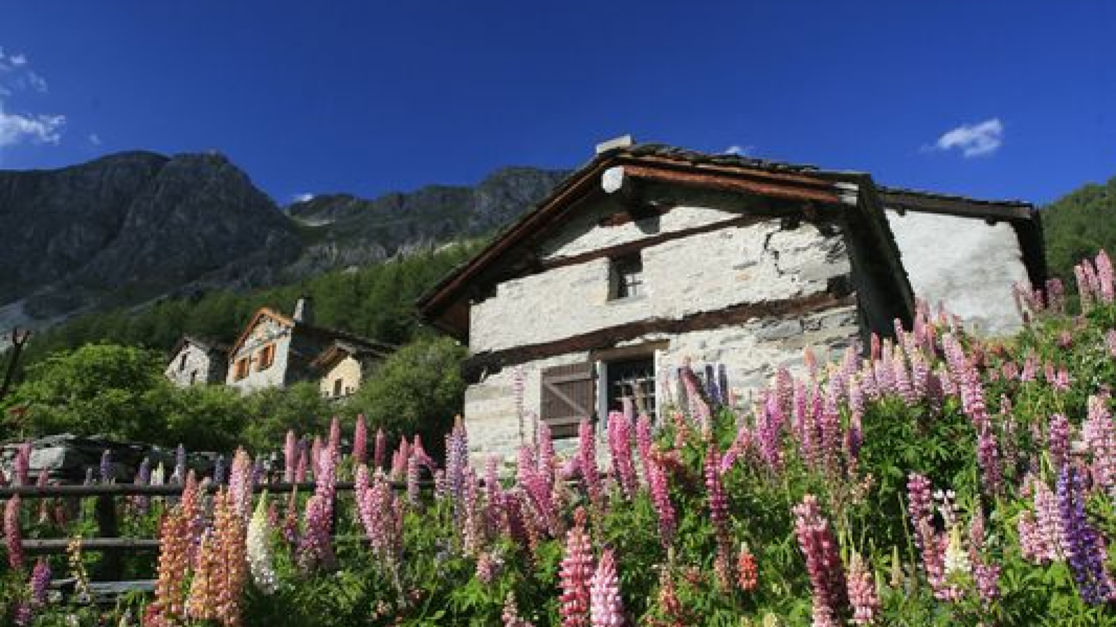 Vallon de Polset à Modane