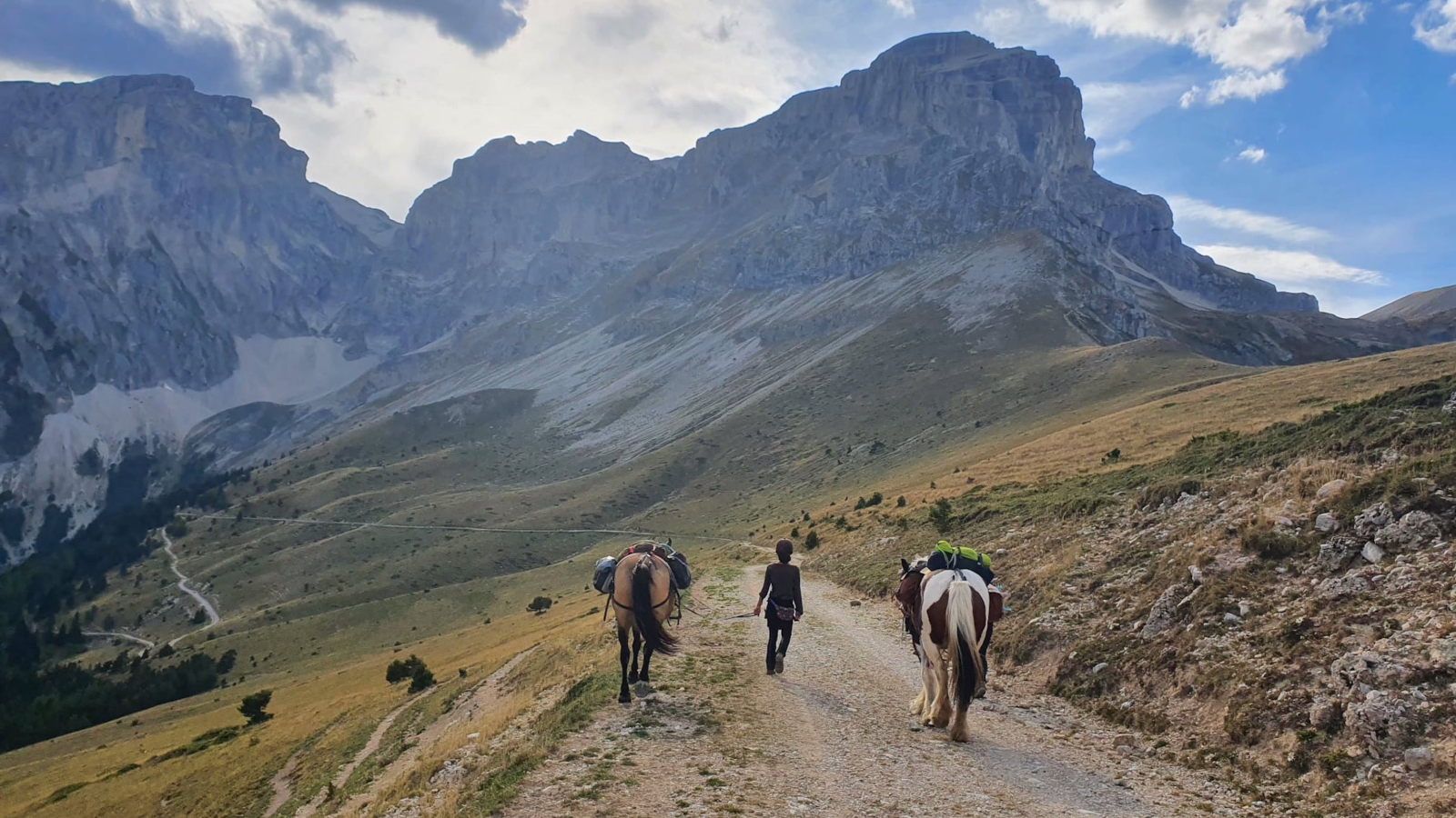 Route de montagne